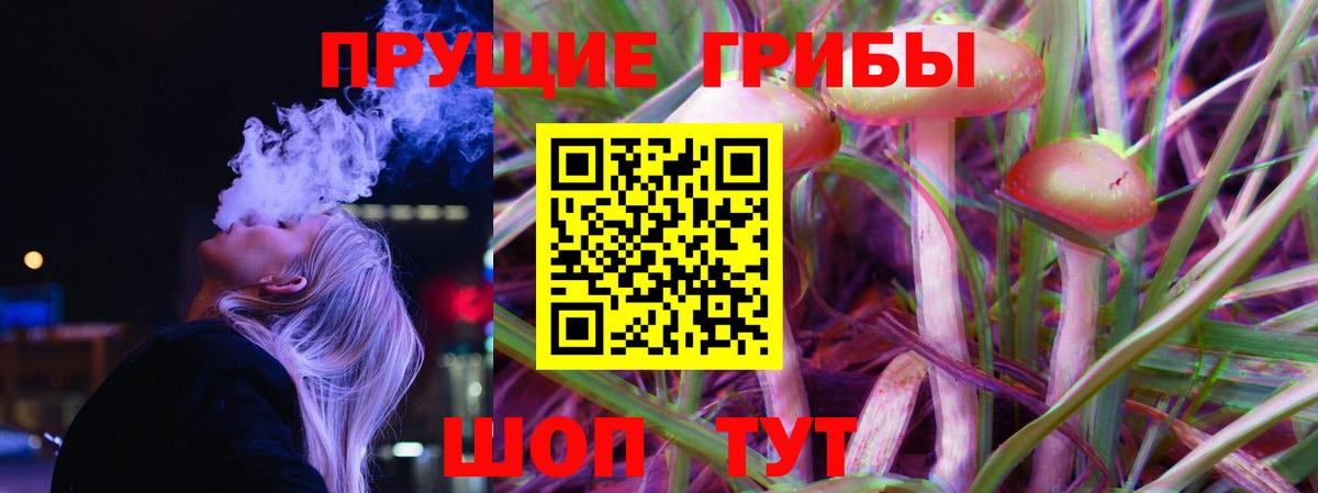 где можно купить наркотик  Псилоцибиновые грибы Psilocybe  Горячий Ключ  Вход с VPN  Псилоцибиновые грибы Magic Shrooms 