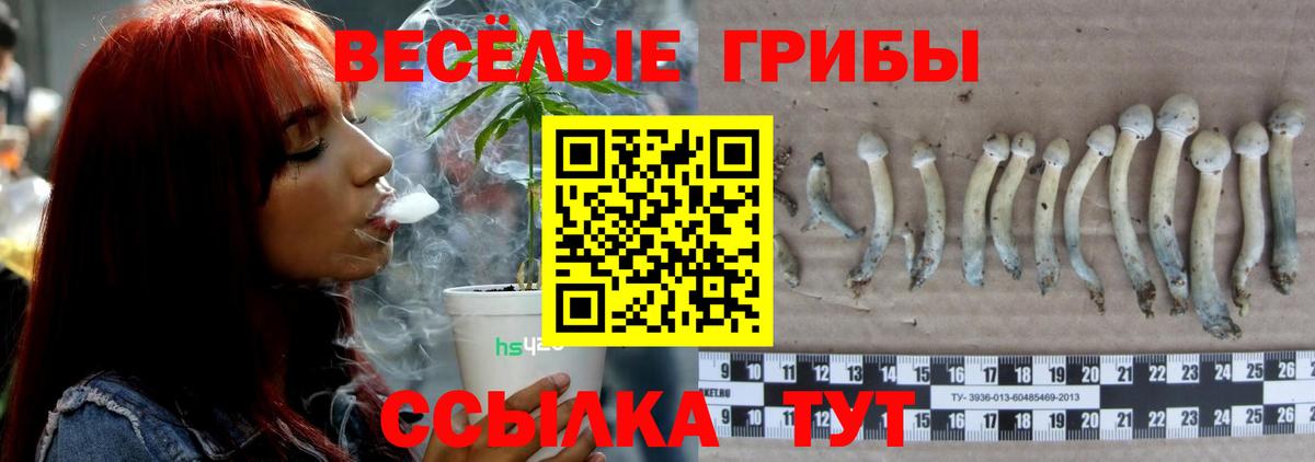 Псилоцибиновые грибы ЛСД Горячий Ключ